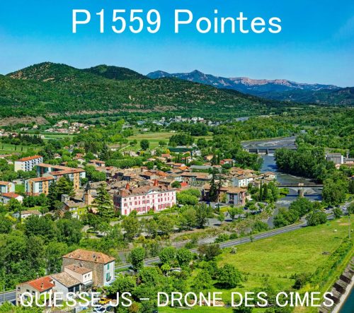 P1559 Pointes