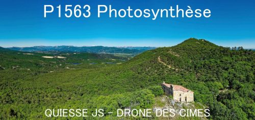 P1563 Photosynthèse