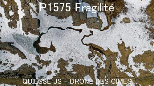P1575 Fragilité