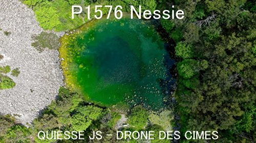 P1576 Nessie