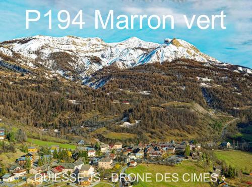 P194 Marron vert