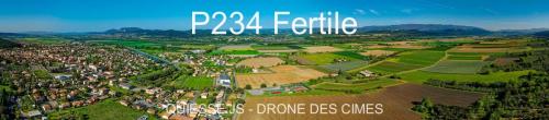 P234 Fertile