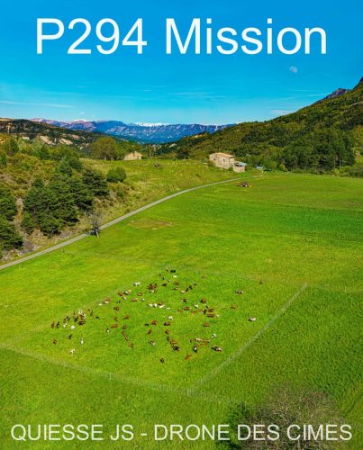 P294 Mission