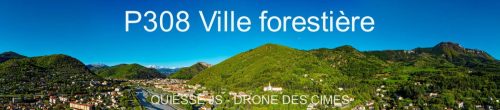 P308 Ville forestière