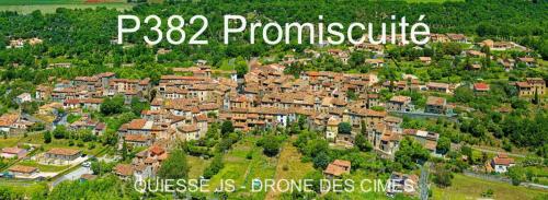 P382 Promiscuité