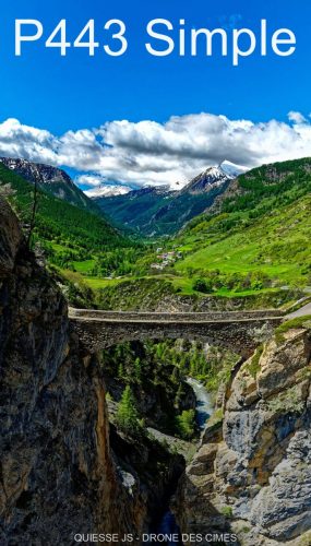 P443 Simple