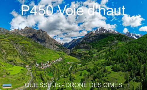 P450 Voie d'haut