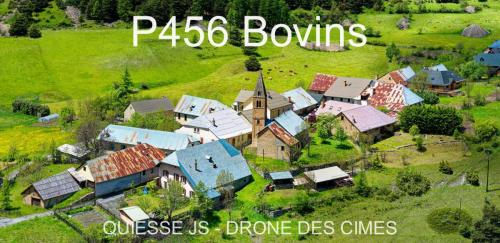 P456 Bovins