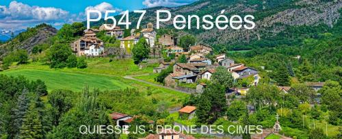 P547 Pensées