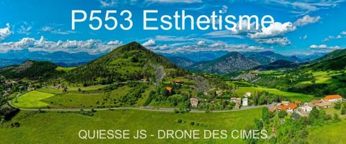 P553 Esthetisme