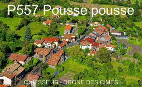 P557 Pousse pousse