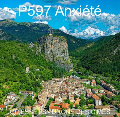 P597 Anxiété