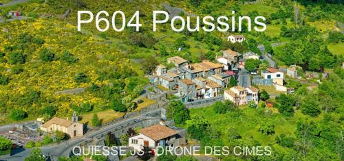 P604 Poussins