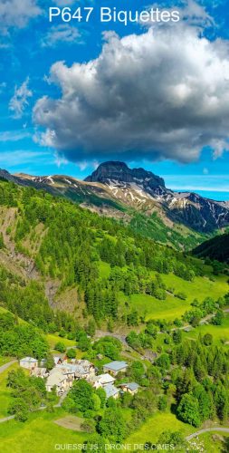 P647 Biquettes