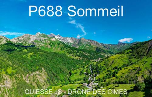 P688 Sommeil