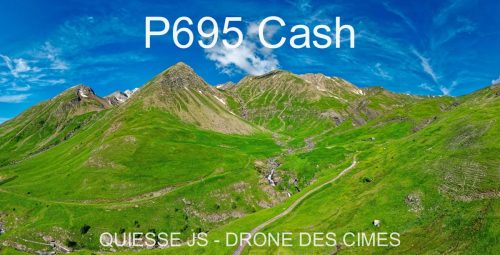 P695 Cash