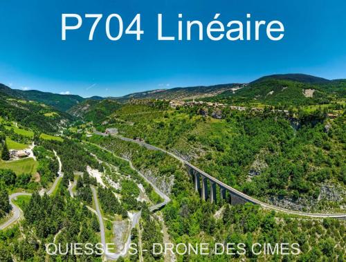 P704 Linéaire