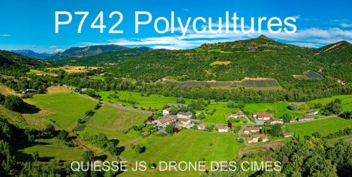 P742 Polycultures