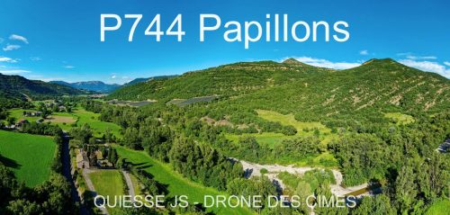 P744 Papillons