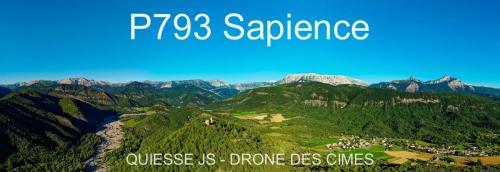 P793 Sapience