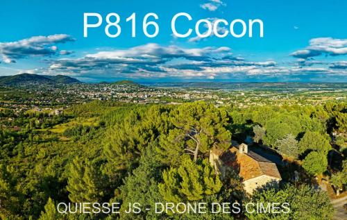 P816 Cocon