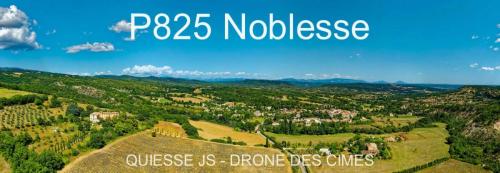 P825 Noblesse