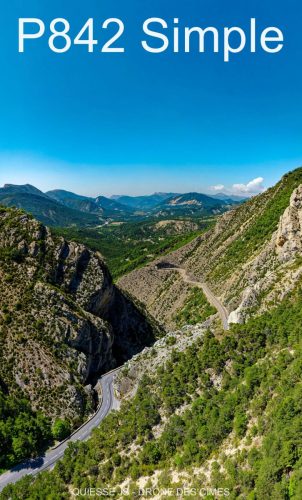 P842 Simple