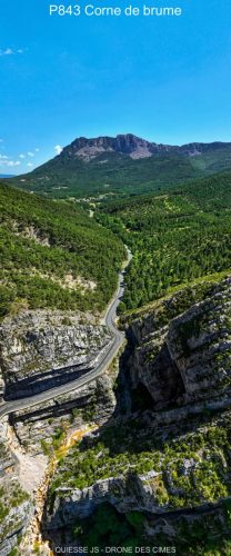 P843 Corne de brume
