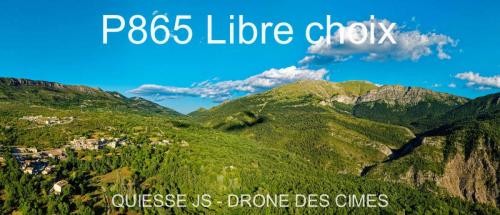 P865 Libre choix