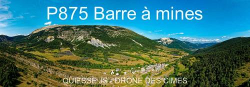 P875 Barre à mines