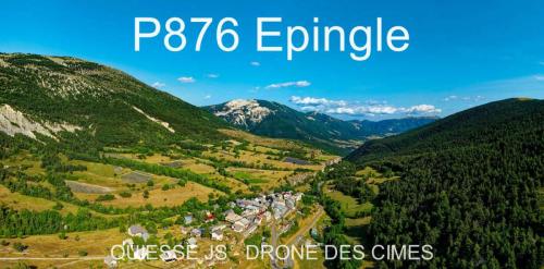 P876 Epingle