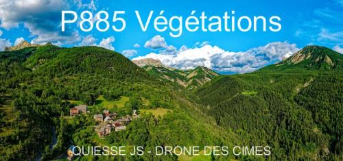 P885 Végétations