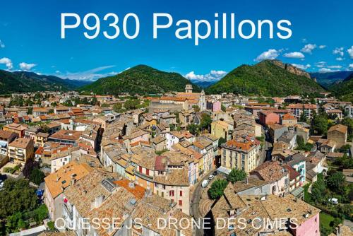 P930 Papillons