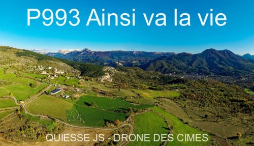 P993 Ainsi va la vie