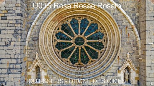 U015 Rosa Rosae Rosam