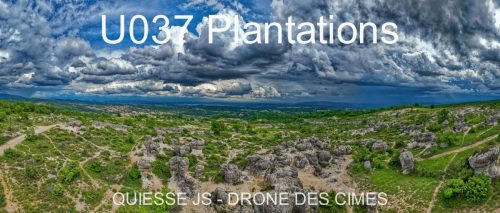 U037 Plantations