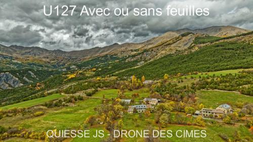 U127 Avec ou sans feuilles