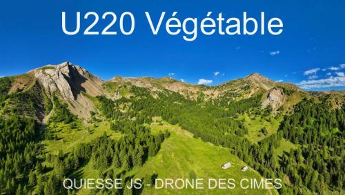 U220 Végétable