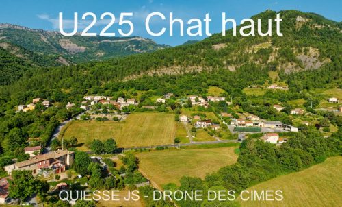 U225 Chat haut