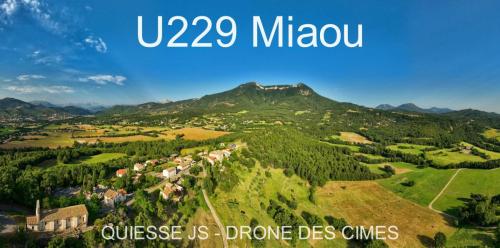 U229 Miaou