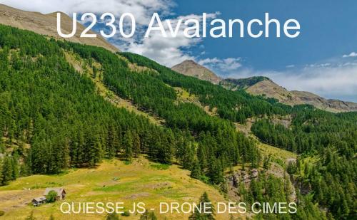 U230 Avalanche