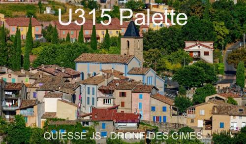 U315 Palette