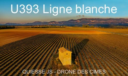 U393 Ligne blanche