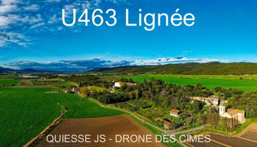 U463 Lignée