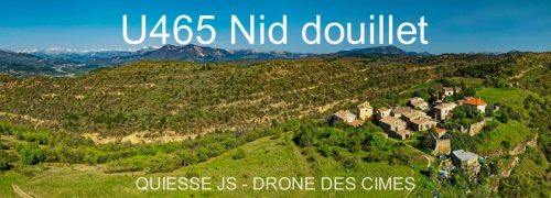 U465 Nid douillet
